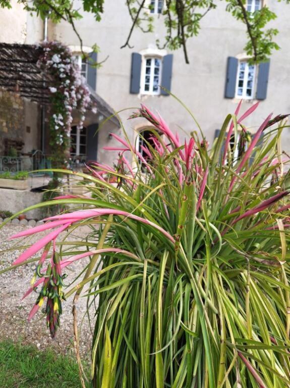 Domaine De Capoulade Bed & Breakfast นาร์บอนน์ ภายนอก รูปภาพ