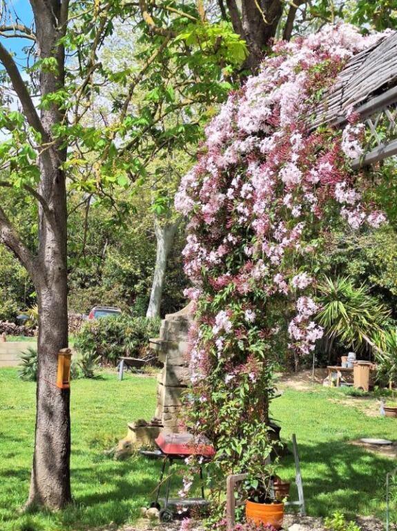 Domaine De Capoulade Bed & Breakfast นาร์บอนน์ ภายนอก รูปภาพ
